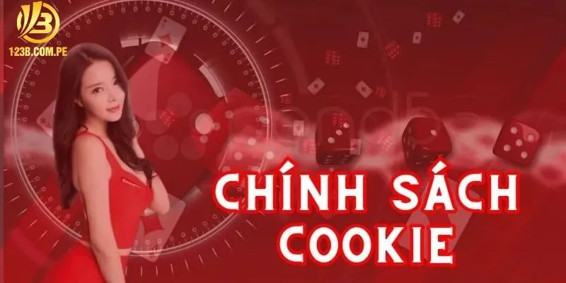 Khái quát về chính sách cookie 123B